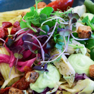 Vegetarisk salat